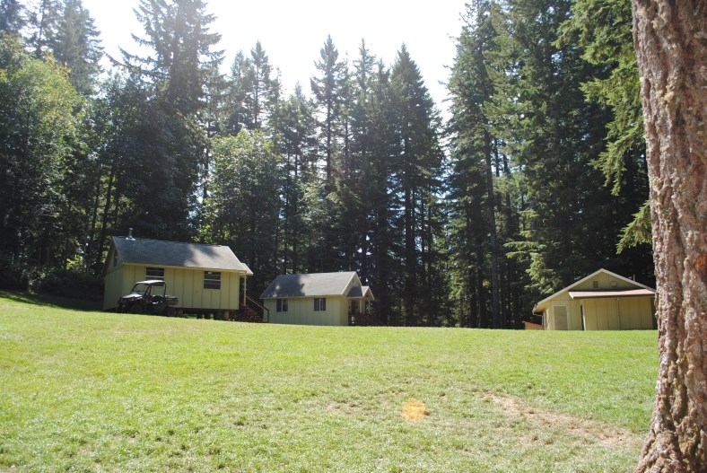 re-seeding, fertilizing, water and time will restore the fields to their glory.