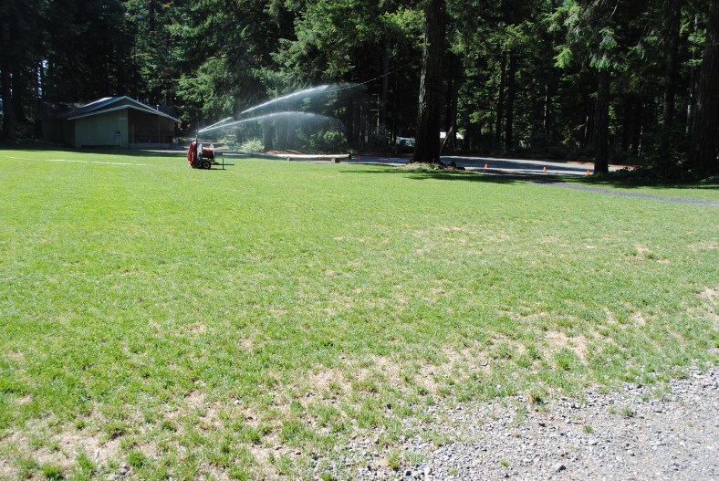Watering the lawns, fertilizing, seeding, aerating and time will restore fields.
