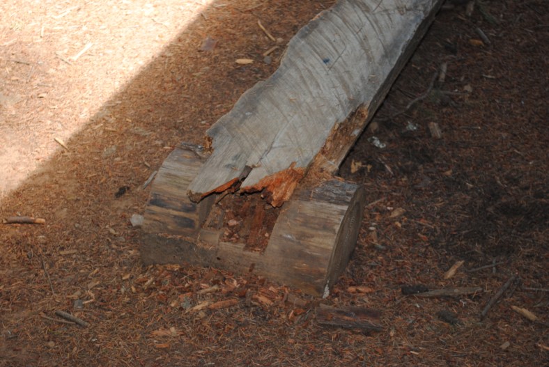 wood bench needs replaced after about 12 years of service to the camp!