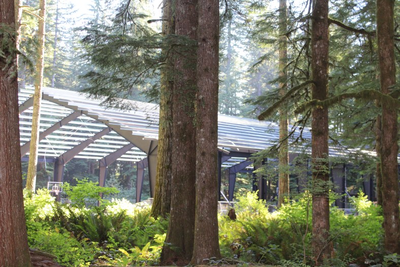 Cover being installed over the Christ Child Basketball Courts June/July 2015