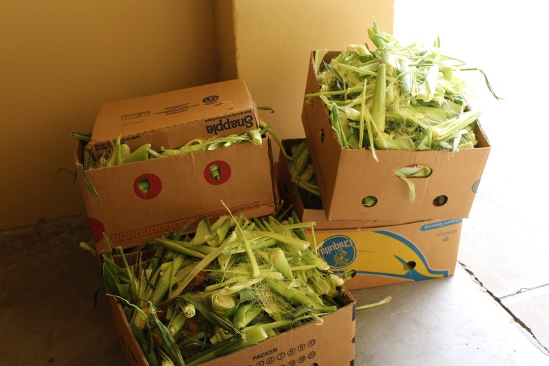 What's left from a "husking party!"