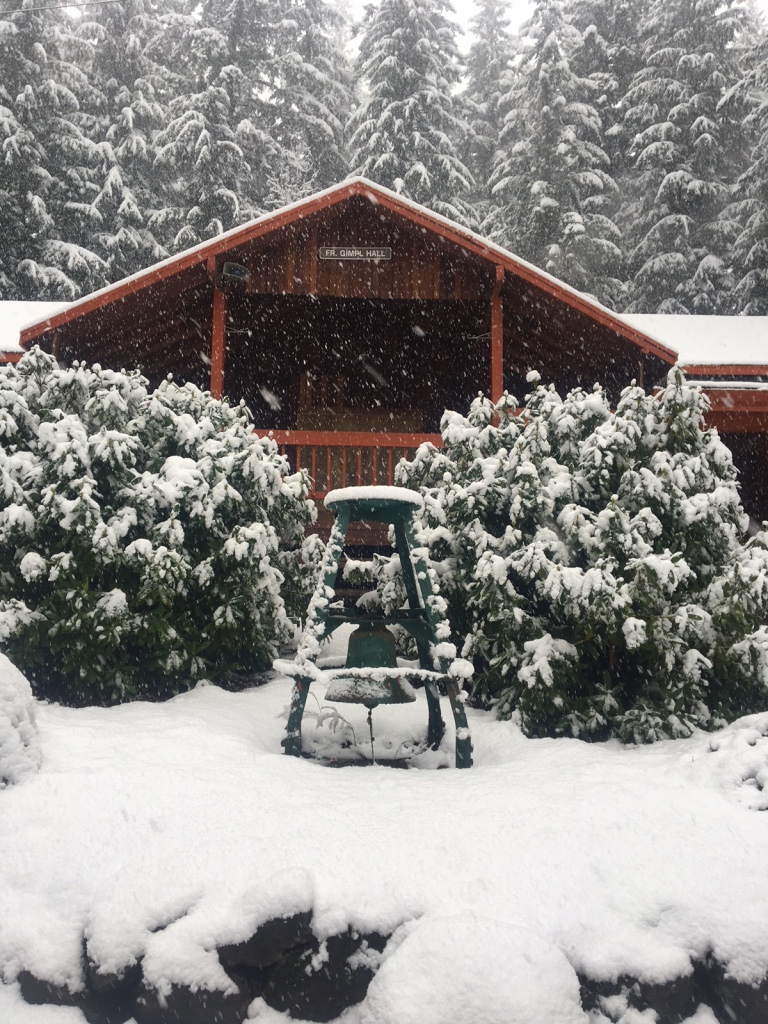 thumb_50266501292__83173c0a-2976-444d-88c2-300267530890-jpg_1024