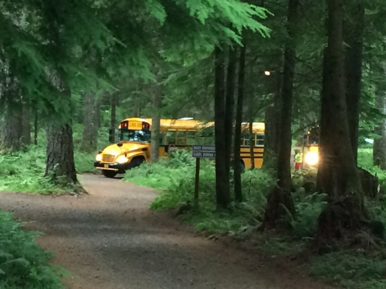 2014 Busses arriving copy