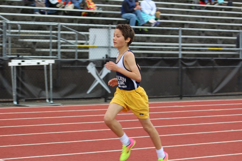 Vlad Stancescu OLLake